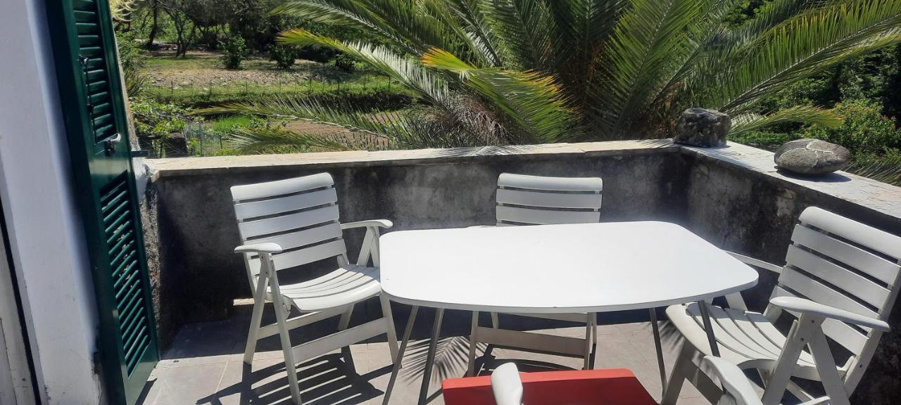 Vecchio Mulino Fontona Girasole Apartment Chiesanuova  Luaran gambar